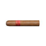 Partagas Serie D No 5