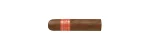 Partagas Serie D No.6