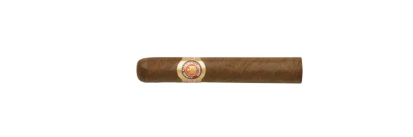 Petit Robusto Flor Extrafina